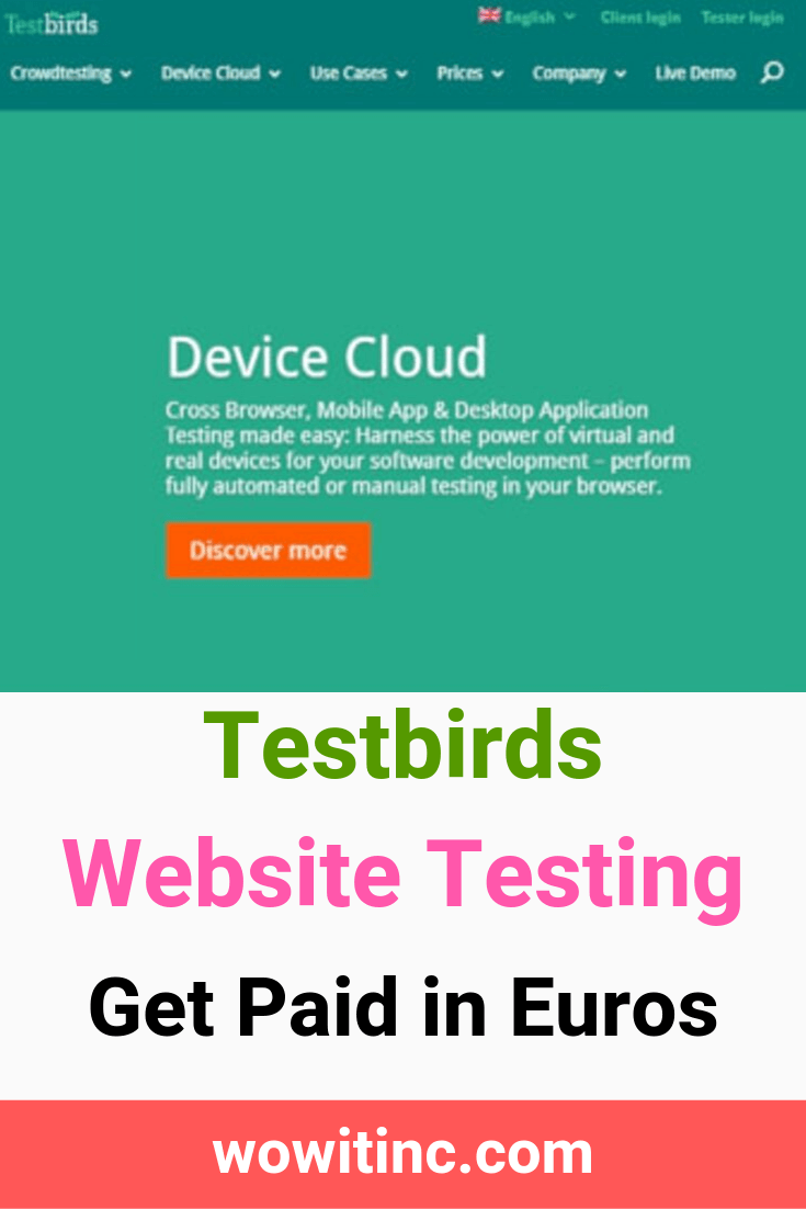 Testbirds website testing - paid in euros